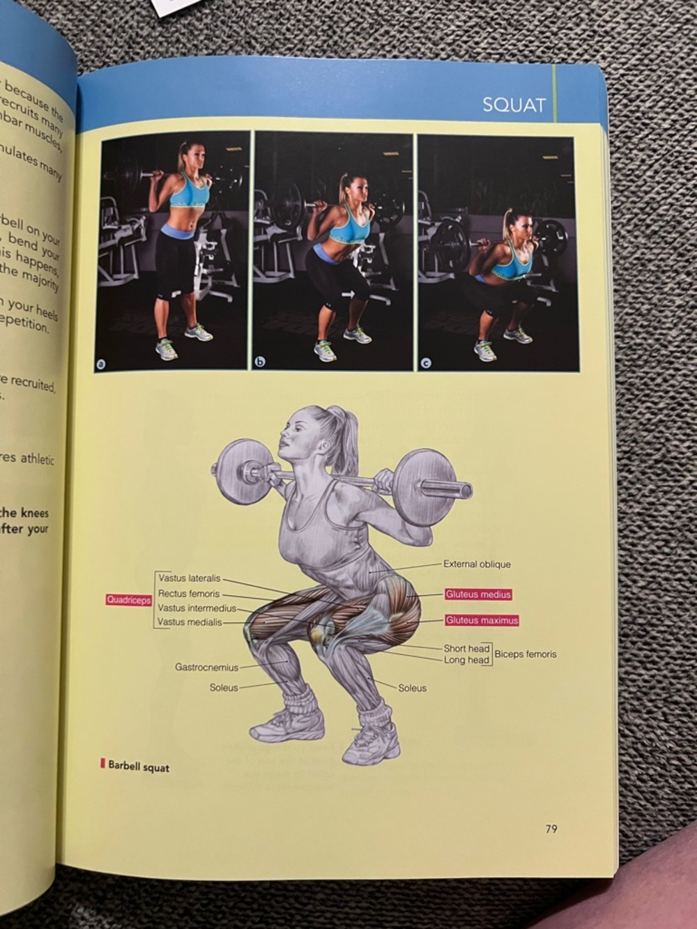 Delavier's Women's Strength Training Anatomy Workouts - Paperback. Like new. - Picture 6 of 7